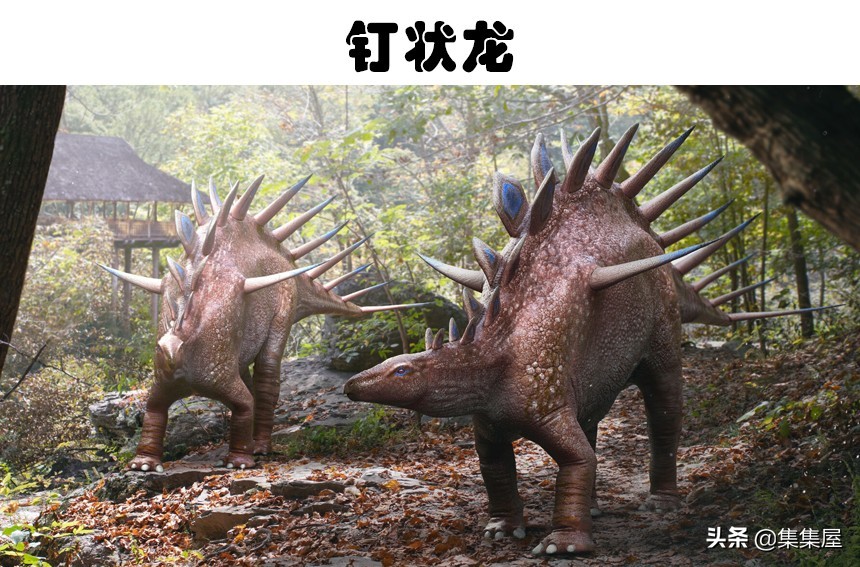 科学家发现的四种奇怪动物,科学家发现的极度奇怪的生物