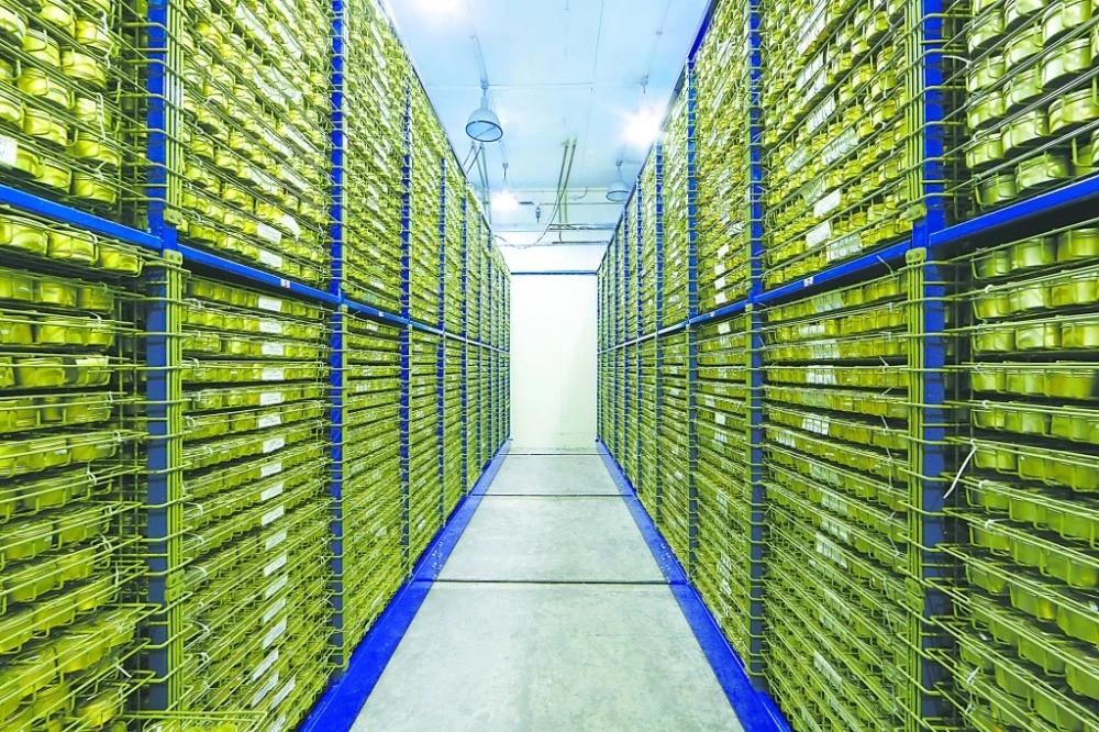 粮食短缺饥荒最新消息,全球饥荒爆发粮食危机