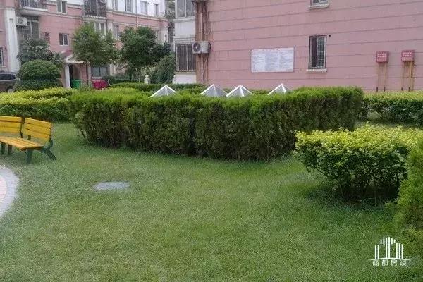 郑州二七区十大公认最差的小学,郑州二七区小学划片分布大全