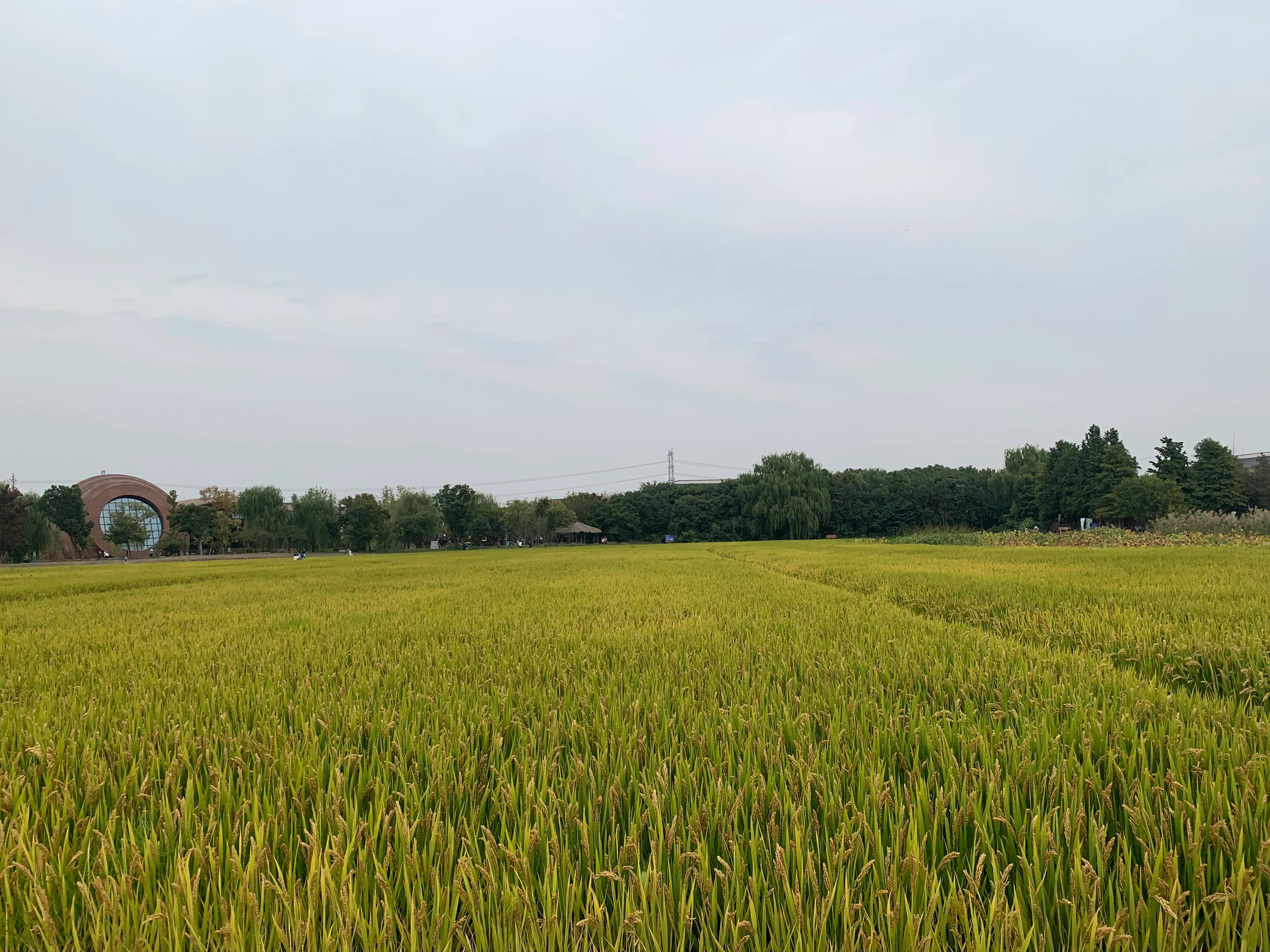 一座水下古文化遗址博物馆,水下古博物馆