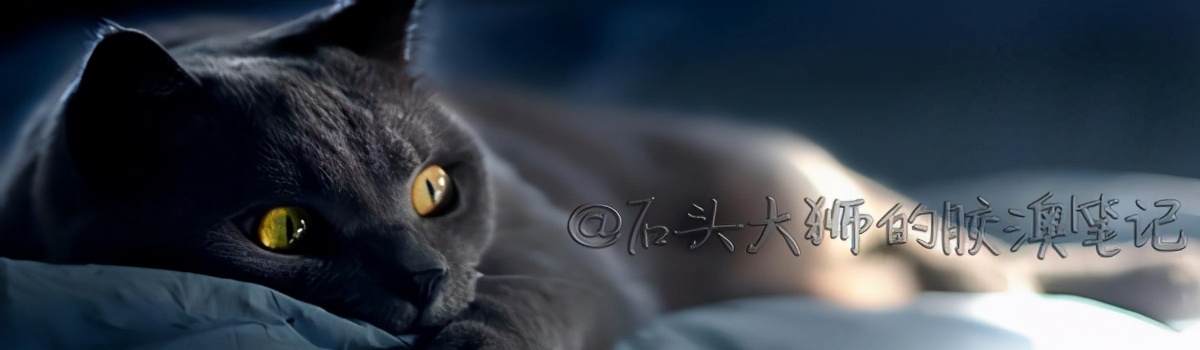 玉虚金仙住哪个地方,玉虚道人住在哪里