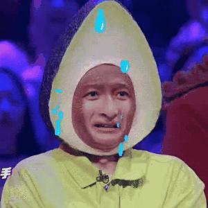 何炅李维嘉淘汰,快本停更因为李维嘉吗