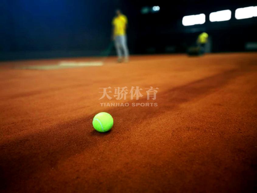 天骄羽毛球场,天骄体育网球场红土