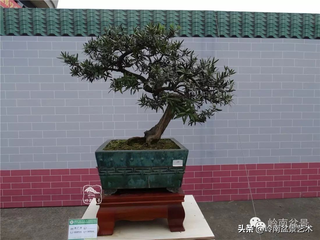 开运招财，非其莫属！清风雅韵，当之无愧！