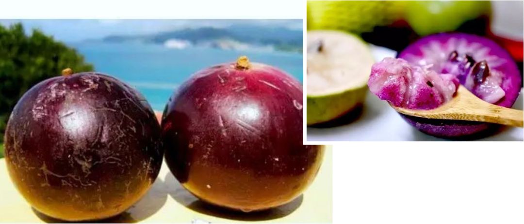 真的是活久见!长成这样居然能吃?