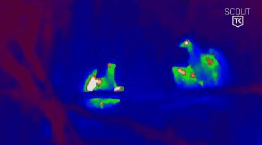 在澳门怎么买到房卡房,澳门的房卡房靠谱吗