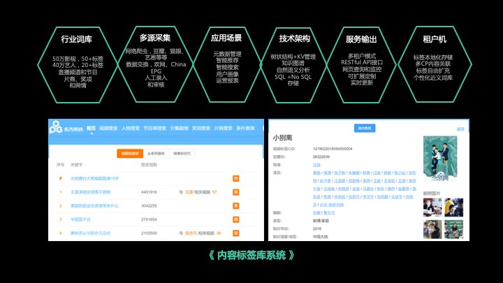 广电大数据可视化项目实战,广电大数据处理与可视化