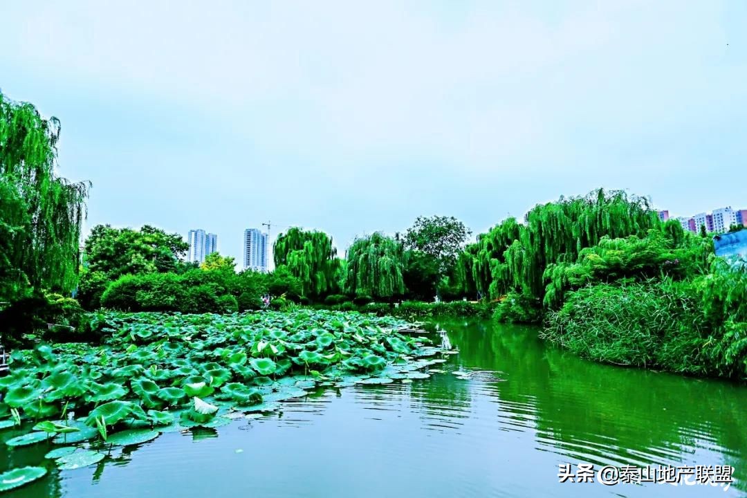 天鸿万象东方备案价,济南天鸿万象东方促销