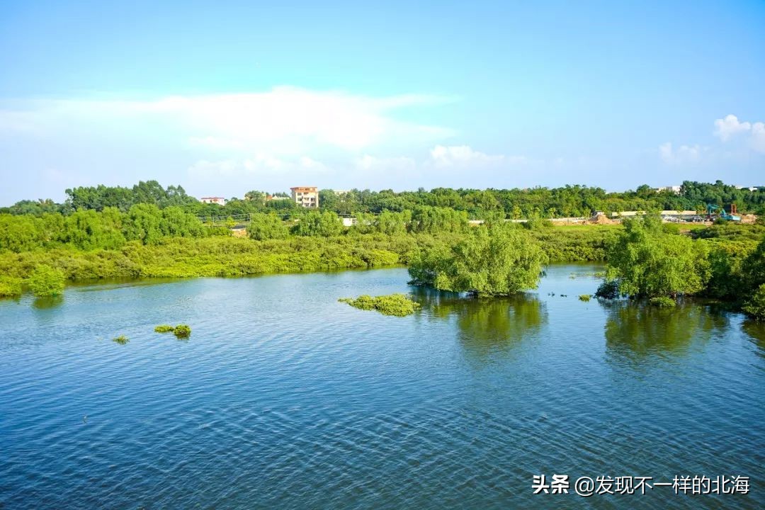 两广场五公园，北海城南片区的人住的就是这么爽