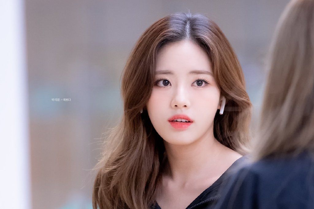 可以全方位科普下twice的成员们吗 (twice为什么能登顶top团)