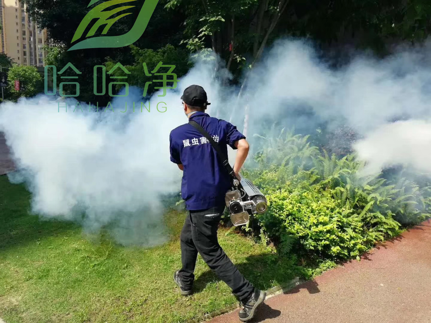 重庆虫害管家,重庆市城市害虫防治研究所