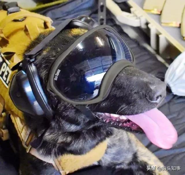 美军用哪款降噪耳罩,美军隔音耳罩