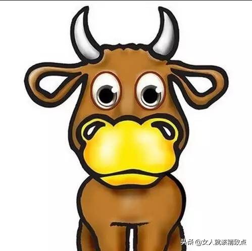 查查你是什么星座,看看你是什么命挺准的