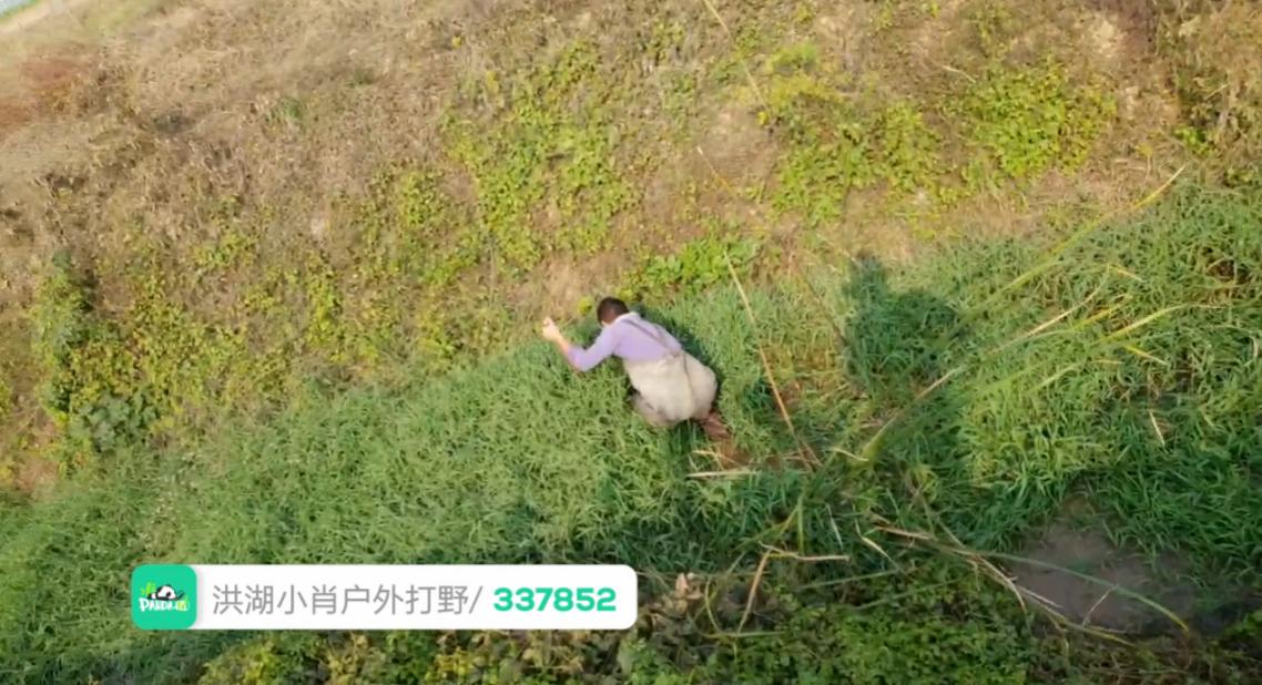 熊猫主播排行榜女,熊猫直播户外女主播