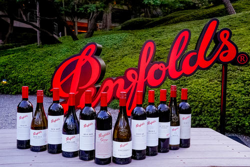 奔富红酒专卖店怎么加盟,奔富红酒专卖店价格表