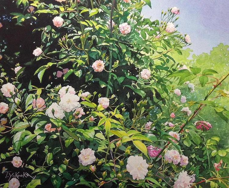 钻石思维的12种思维逻辑,好书推荐受益一生的世界顶级思维