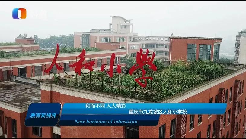 重庆九龙坡区人和小学视频,人和小学重庆九龙坡区