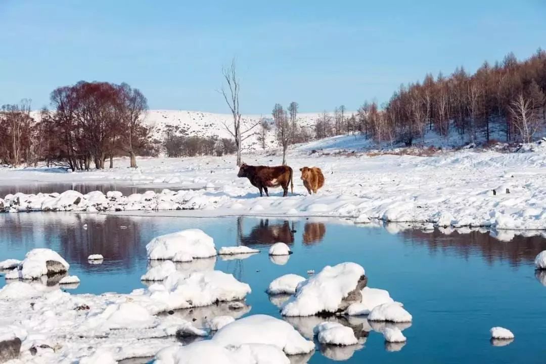 冬日必去赏雪胜地,冬日游必去的地方
