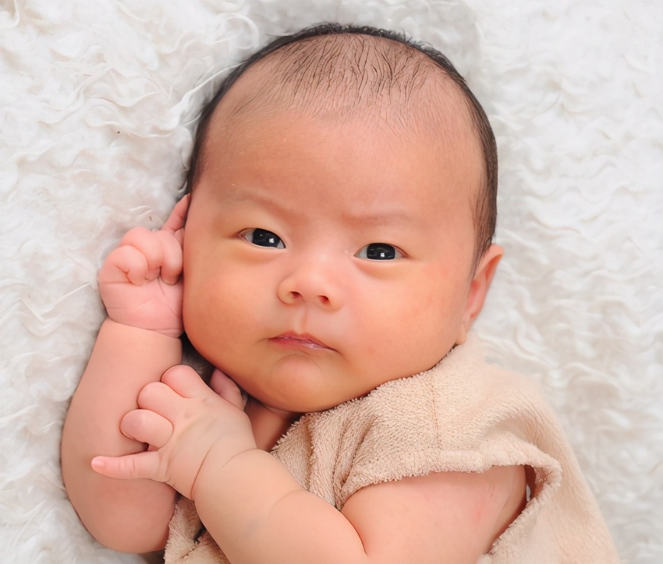 伊利金领冠珍护羊奶粉价钱,伊利金领冠羊奶粉价格表