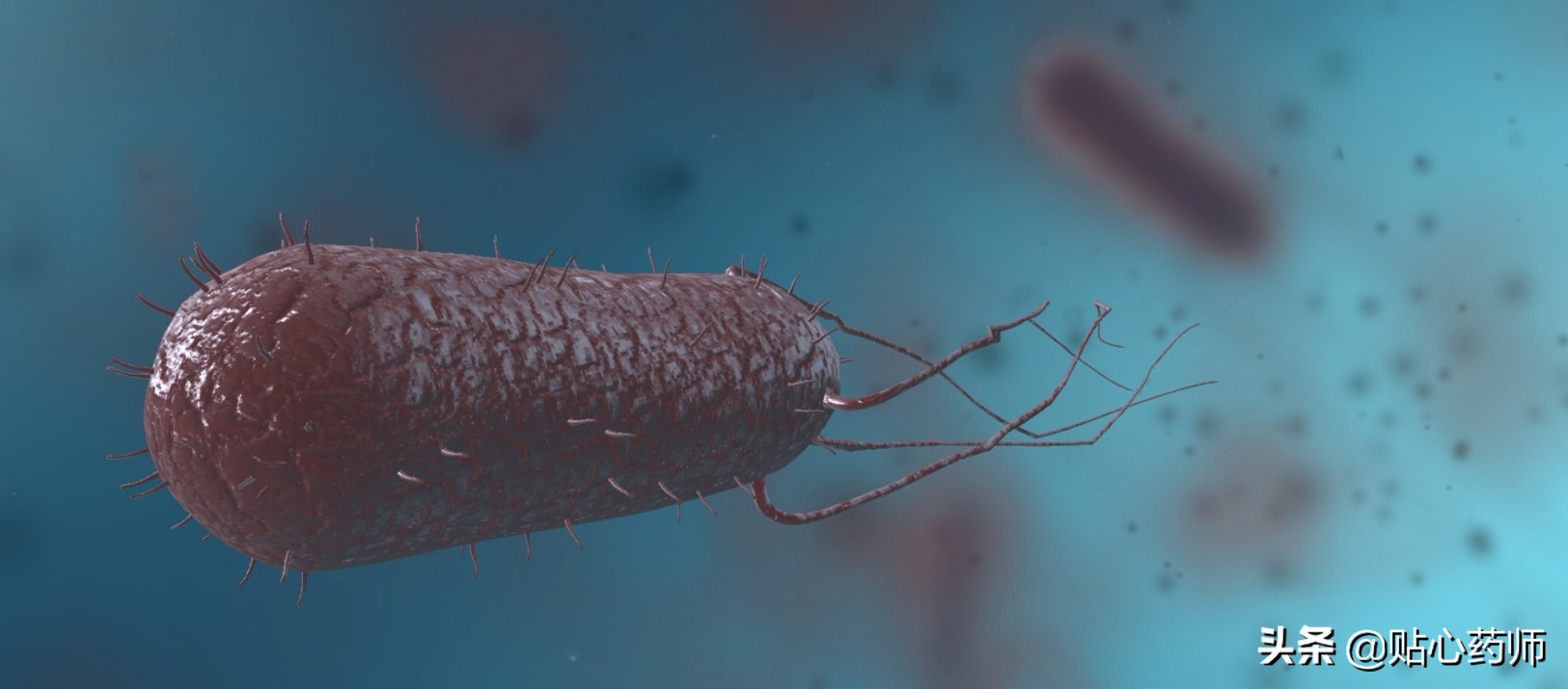 幽门螺旋杆菌感染值3000多严重吗,感染幽门螺旋杆菌一定要治疗吗