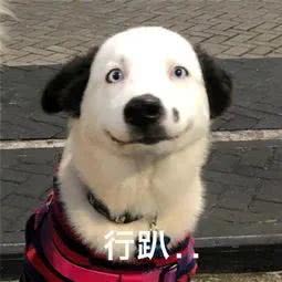 厦门复学通知最新,厦门开学最新通告高中