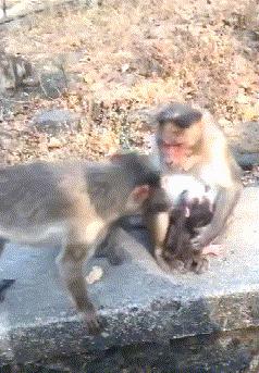 搞笑gif开心一刻单身也挺好,搞笑gif开心视频