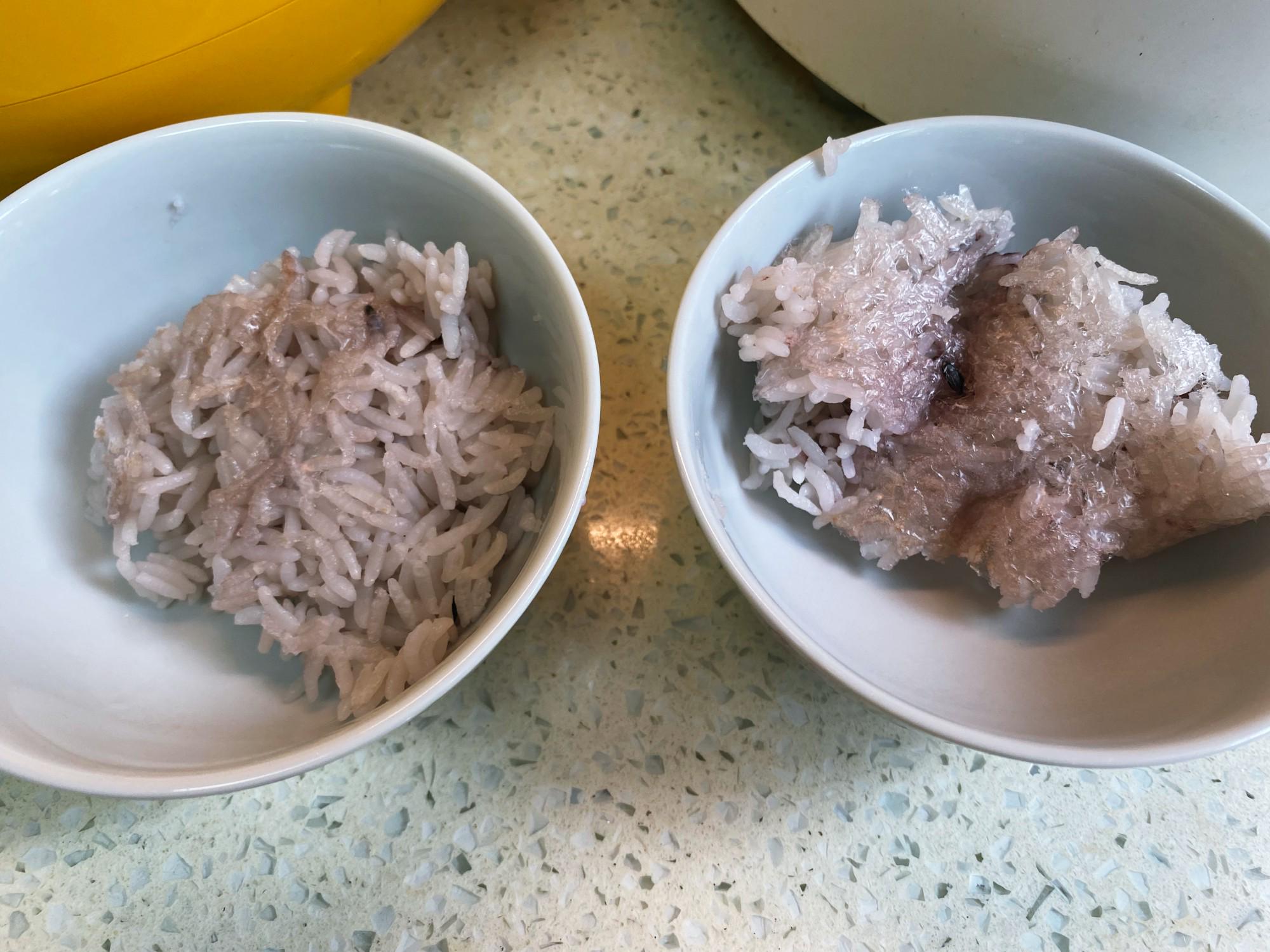 蒸煮两用电压力锅哪个牌子好,家用压力锅和微压锅哪个好