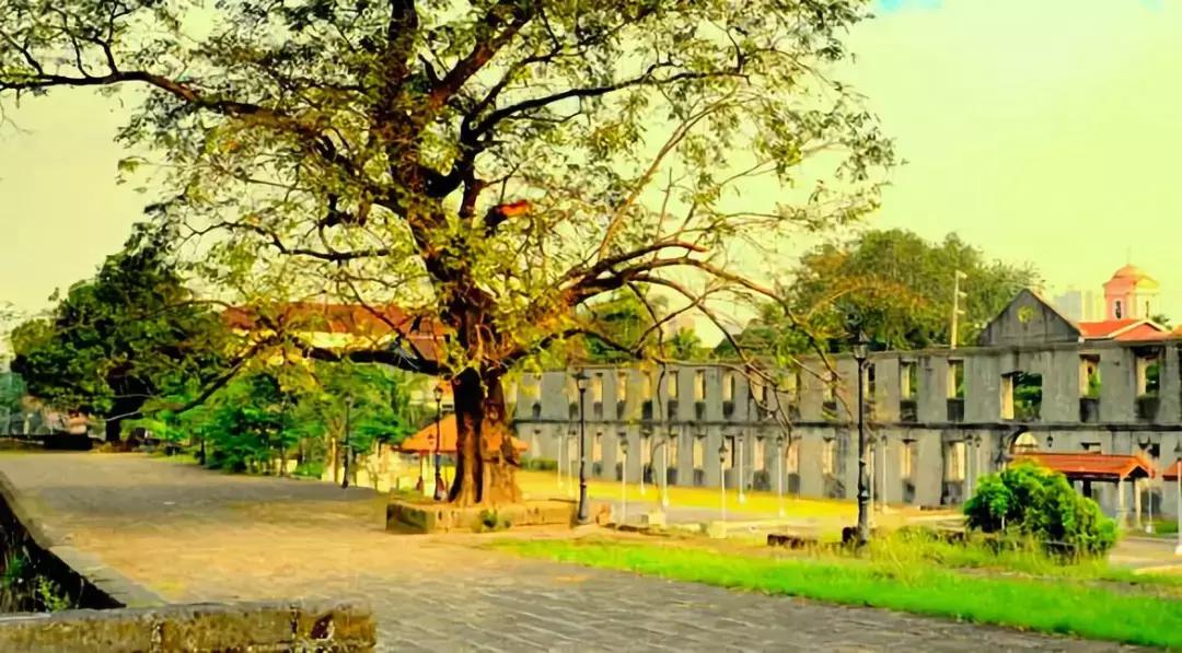 12月成都出发白菜价机票大全,4月机票低至99元