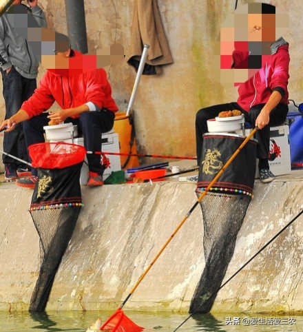 低成本小投入的行业,现在做什么低成本高收入行业