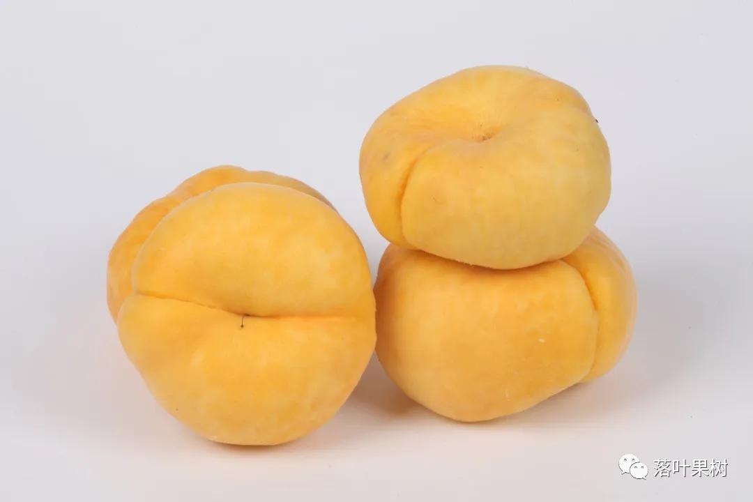 中国桃产业转型升级,桃产业转型升级的思考