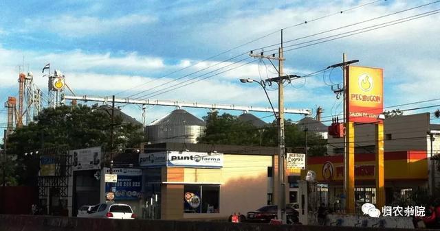 中国年年进口的大豆，为何让巴拉圭从富饶变得死寂？