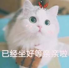 养猫的铲屎官一定要注意除癣,准备养猫的人看的视频