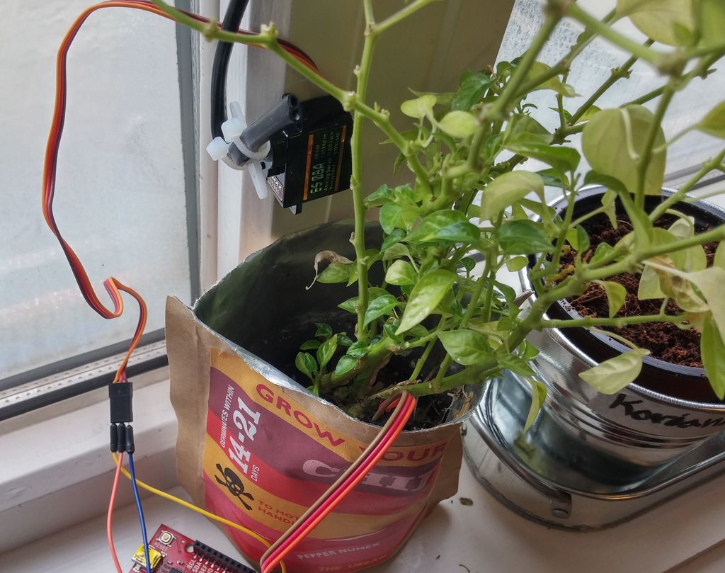 离家一个月的植物怎么浇水,出门太久怎么给植物浇水