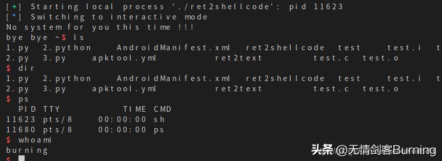 rop构造,新手小白做rop