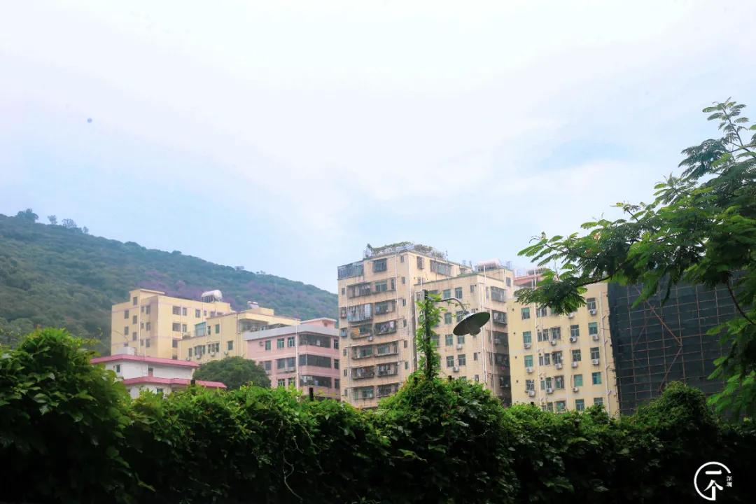 为啥珠光村房租便宜,深圳西丽珠光村房租如何