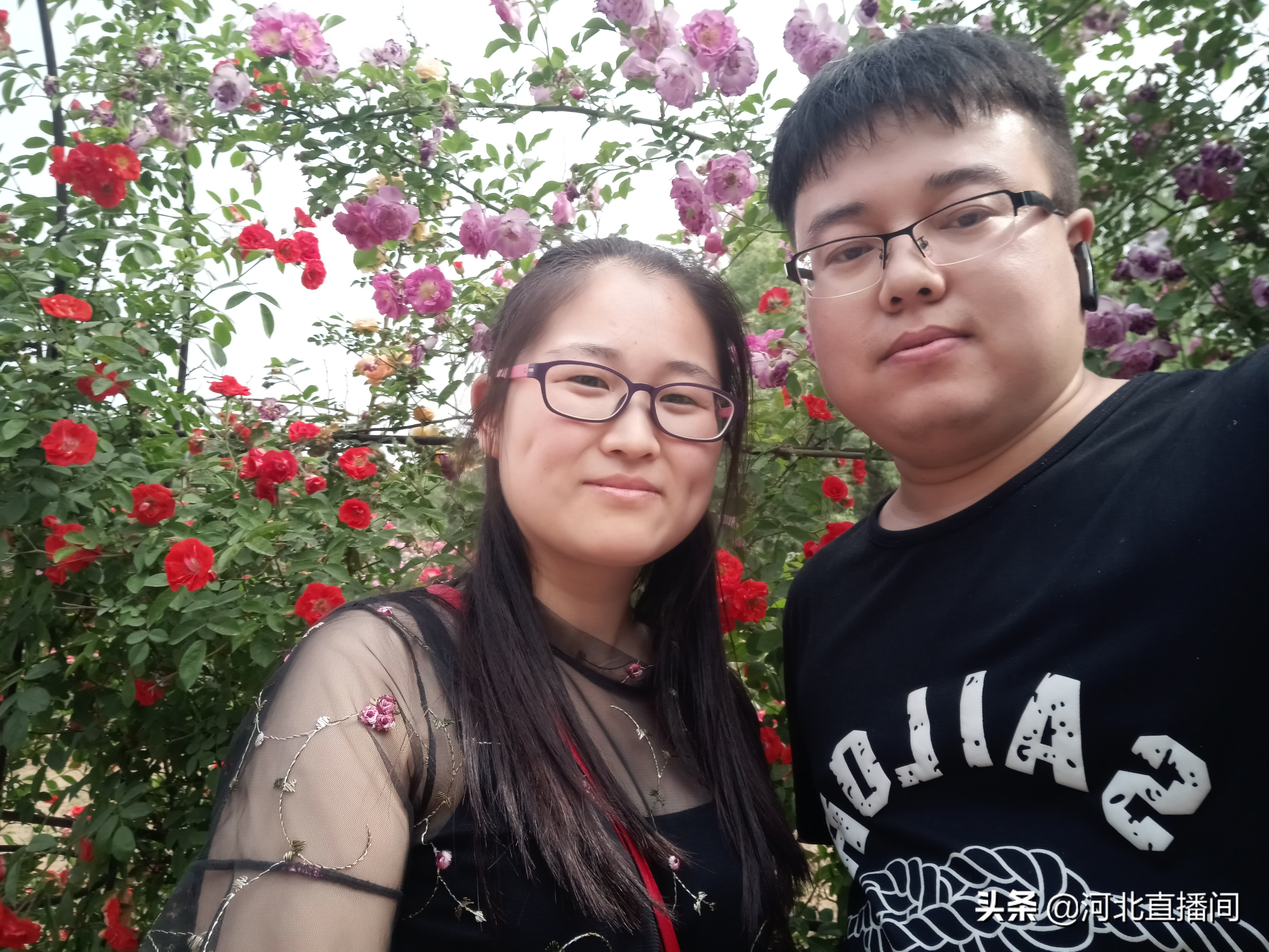 石家庄植物园攻略一日游,和朋友一起去植物园玩好吗