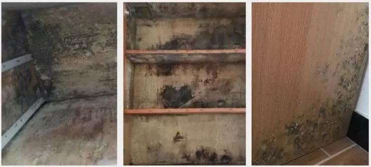 家具受潮发霉怎么处理,木质家具受潮了怎么办