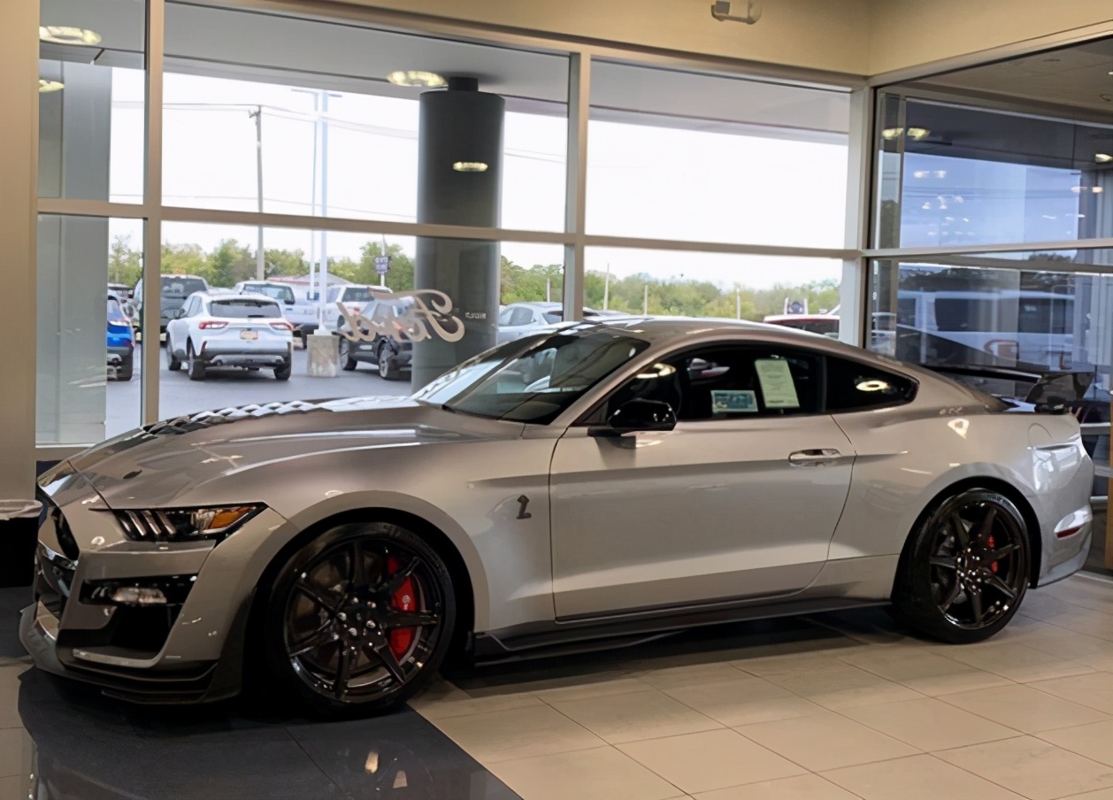 福特野马蝰蛇标志,野马眼镜蛇谢尔比声浪