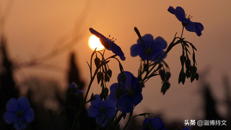 热爱生活从每日跑步开始,跑步让我感受健康和快乐