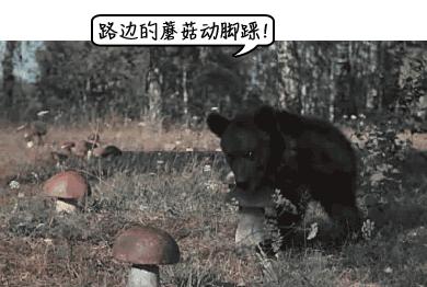 又有3人转入深圳市三医院，元凶却不是“新冠”！