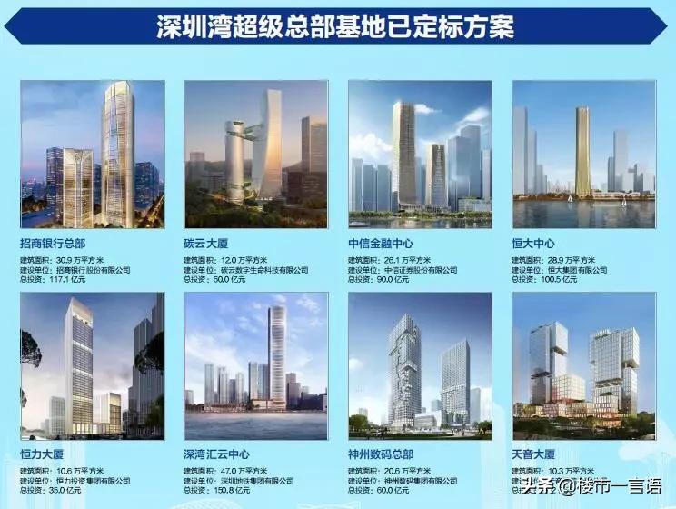 今天深圳湾新闻,深圳湾今日日出