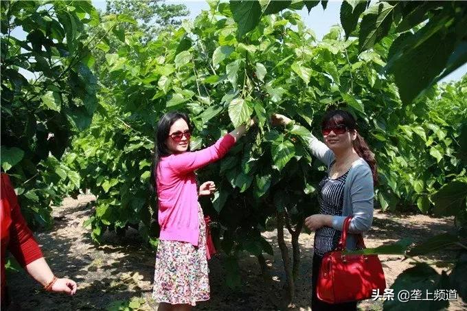 垄上优选战略携手圣果酒庄，就喜欢这种美酒佳肴纷至沓来的感觉...