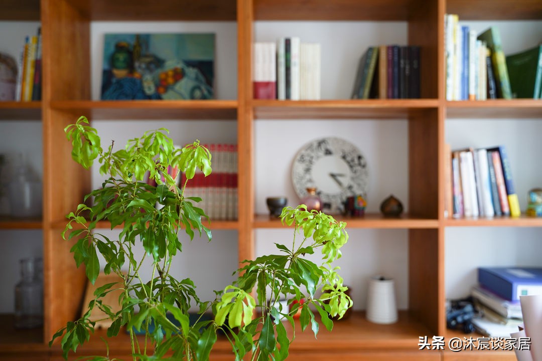 她把家布置得复古又温馨,室内被绿植环绕,这样的家,住着真舒服