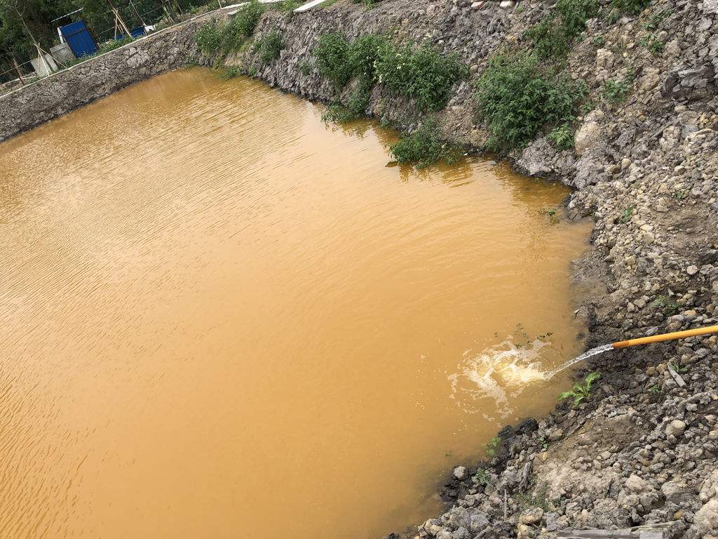 井水地下水发黄是怎么回事,农村水井的水发黄是什么原因
