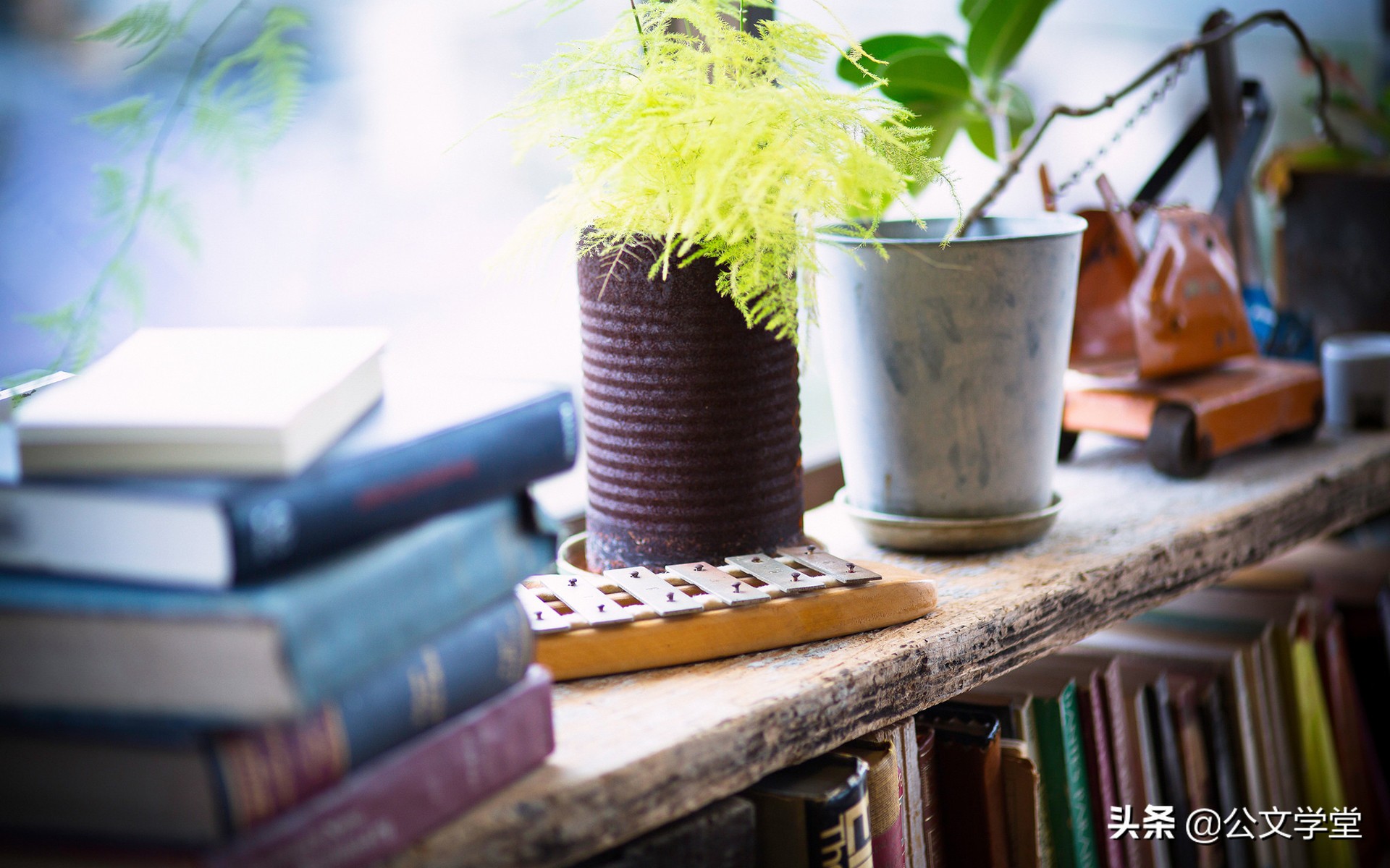 讲座主持词开场介绍主讲人,讲座主持词完整版