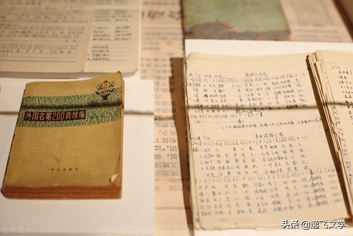 「散文」知青牧羊曲