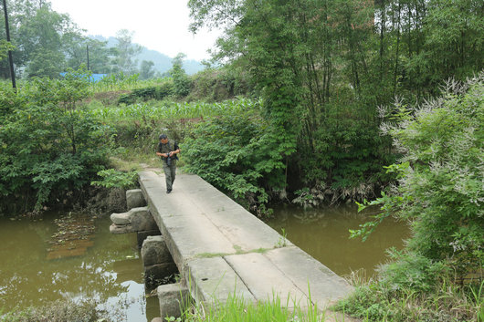 寻找。嘉明镇龙桥