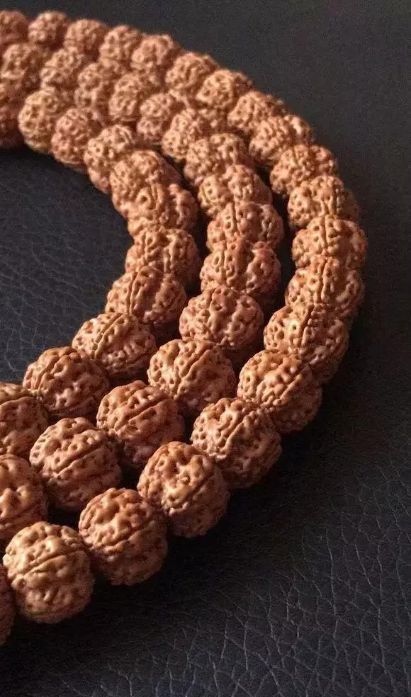 金刚贵贱区别,金刚菩提多久能红