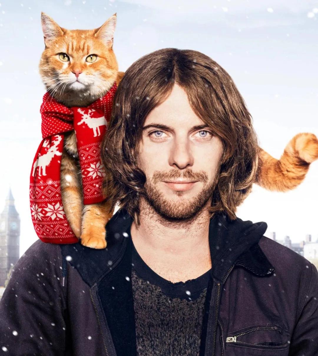 拯救不开心之类电影推荐,十部让人内心平静的电影