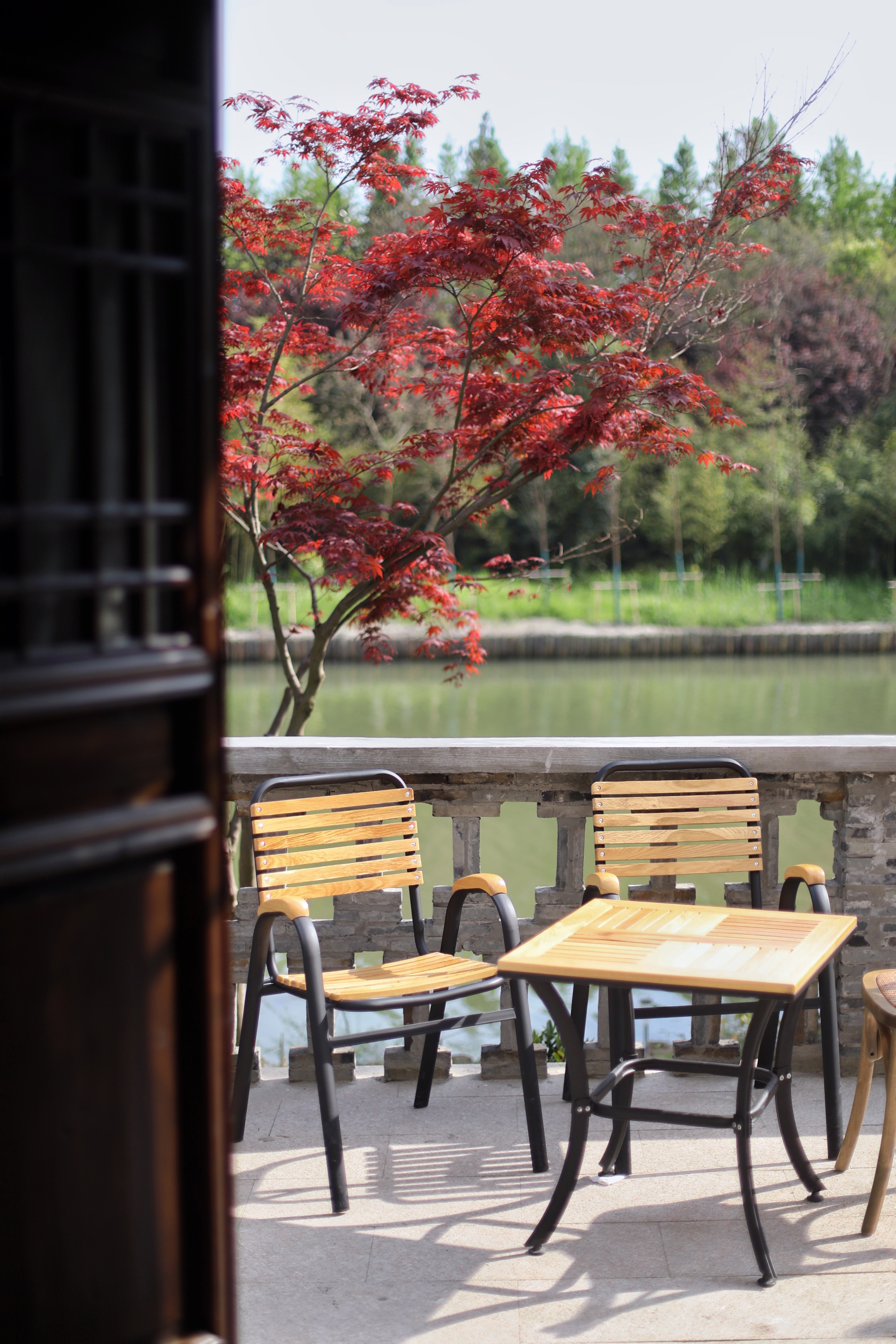常熟水上花田旅游攻略,常熟水上游玩攻略